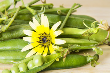 Peas on wooden background