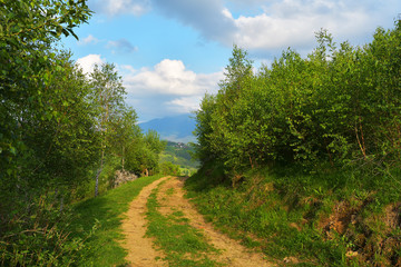 Fototapeta na wymiar Stunning alpine landscape and green fields,Holbav,Transylvania,Romania,Europe
