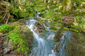 Obraz premium French countryside - Vosges. A river with waterfall in the wild forests of the Vosges.