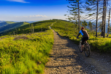 Mountain biking women riding on bike in summer mountains forest landscape. Woman cycling MTB outdoor sport activity.