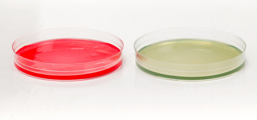 Petri dishes for medical research