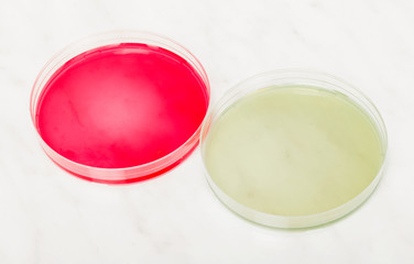 Petri dishes for medical research