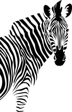 Zebra. Vector.
