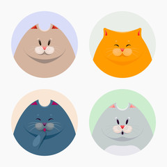 Collection of cute cats