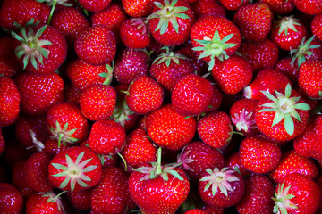 Frische Erdbeeren auf schwarzem Hintergrund