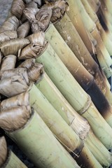 glutinous rice baked in a bamboo cylinder