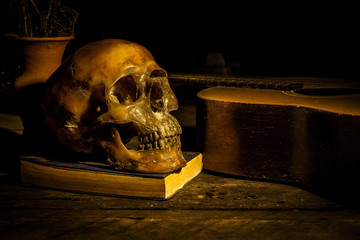 skull and guitar,book on old wood, still life