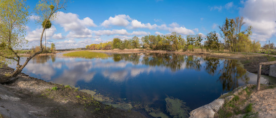 весенний пруд