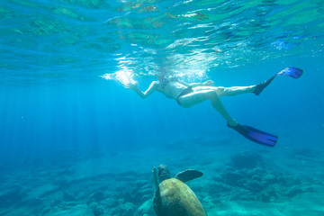 Bikini woman swims with sea turtle Caretta in crystal waters of Foneas Beach, Kardamili, Mani peninsula, Greece. Watersport activity in summer vacations. Snorkeler female with mask and fins swimming.