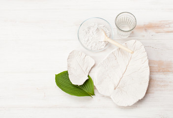 Plaster figures from floristic elements and leaves © ekramar