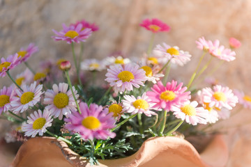 Flower pot in the pintoresque Streets of Valldemossa. Mallorca