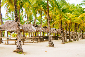 Landscape of paradise tropical island with palms, cottages and white sand beach in Asia
