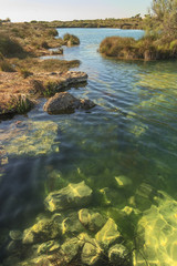 Apulia nature: Regional Natural Park Porto Selvaggio and Palude del Capitano:The karst phenomenon has given rise to caves that have collapsed to form puddles of brackish water. ITALY (Salento).