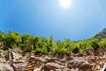 Fototapete bei efototapeten.de bestellen   