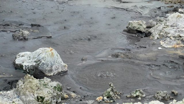 Hei&szlig;e Quelle Hell's Gate bei Taupo auf Neuseeland