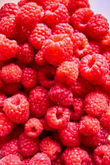 Group of red raspberries