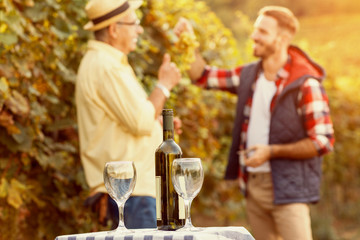 wine bottle with wineglass and grapes in vineyard.