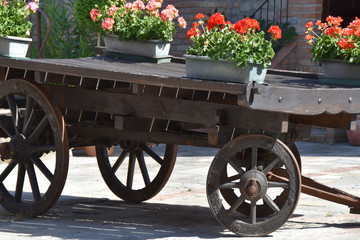 Fototapeta premium Carro fiorito