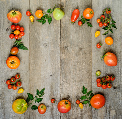 Red Fresh Ripe Stem Tomatoes Frame Wooden Background