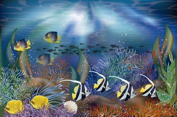 Underwater tropical wallpaper, vector illustration