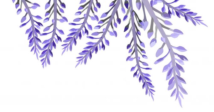 Animated Lavender