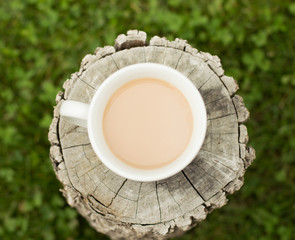 Cup of coffee on weathered log outdoors