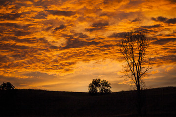 Fototapeta na wymiar A dramatic orange sky with storm clouds at sunrise with a ribbon of black landscape and tree silhouettes along the bottom.