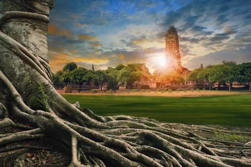 Badezimmer Foto Rückwand big root of banyan tree land scape of ancient and old  pagoda in history temple of Ayuthaya world heritage sites of unesco central of thailand important destination of tourist © stockphoto mania