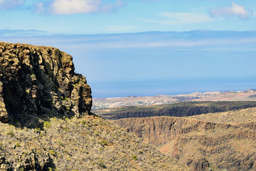 Fototapeta na wymiar Wild Gran Canaria