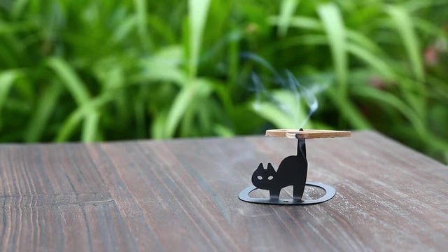 猫の蚊取り線香