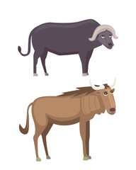 antelope and buffalo safari isolated illustration.