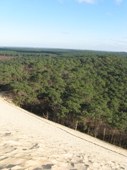 arcachon sa dune et sa forêt