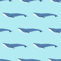 Naklejka premium Vector whale illustration seamless pattern humpback ocean marine mammal wildlife aquatic animal character.