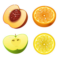 Fresh fruits slice realistic juicy healthy vector illustration vegetarian diet freshness lemon dessert