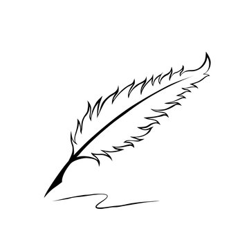Feather pen. Drawing of ancient pen on white background in doodle style. Concept for education.