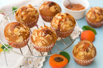 Apricot muffins with sliced almonds