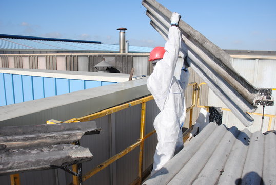 Trabajador de amianto retira tejado de fibrocemento en Alava (Espa&ntilde;a)