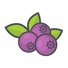 cartoon blueberry vector
