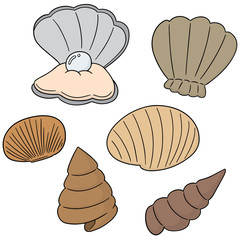 vector set of sea shell