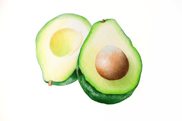 Avocado - HAND DRAWING CRAYON