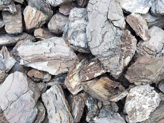 Wood bark chips as background