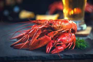 Red boiled crayfish with lemon and herbs on stone slate. Crawfish closeup