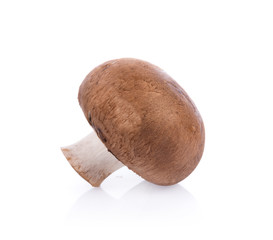 Mushroom champignon isolated on white background