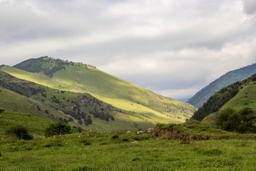 Fototapeta na wymiar Горный пейзаж, красивый вид на живописное ущелье в облаках, пасмурная погода, природа Северного Кавказа