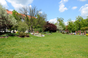 Fototapeta na wymiar Municipal park (Gliwice in Poland)