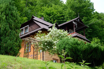 Fototapeta na wymiar Old wooden house