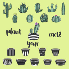 Vector collection of cactus. Hand drawn cartoon Illustration