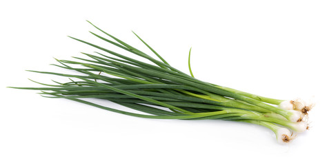 Fototapeta premium Green onion isolated on the white background