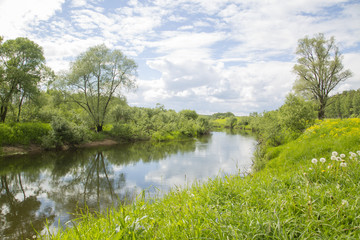 Fototapeta na wymiar National reserve Ugra river in Kaluga region in Russia in June