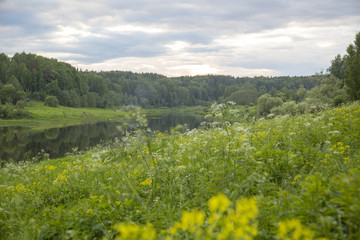 Fototapeta na wymiar National reserve Ugra river in Kaluga region in Russia in June